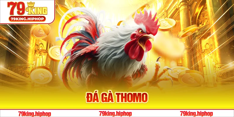 Đá Gà Thomo Tại Sân Chơi 79King Ngập Tràn Ưu Đãi