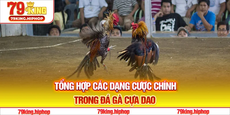 Tổng hợp các dạng cược chính trong đá gà cựa dao