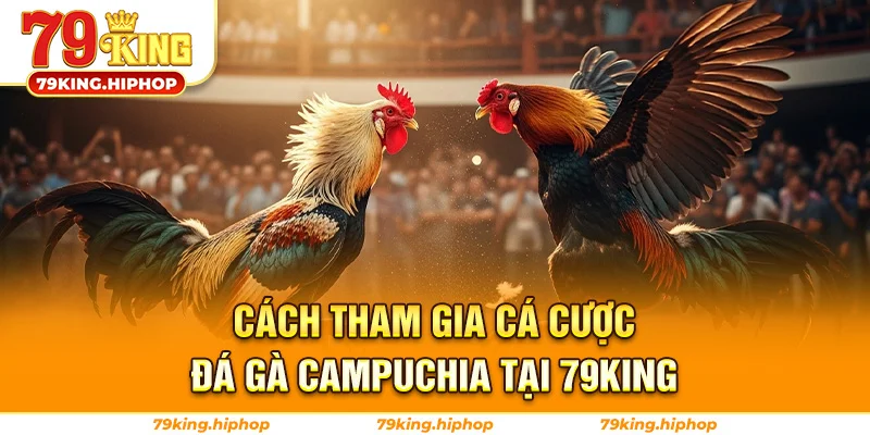 Cách Tham Gia Cá Cược Đá Gà Campuchia Tại 79King