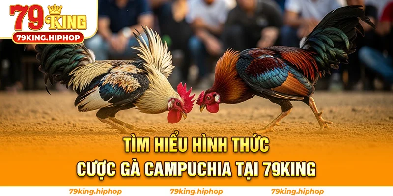 Tìm Hiểu Hình Thức Cược Gà Campuchia Tại 79King